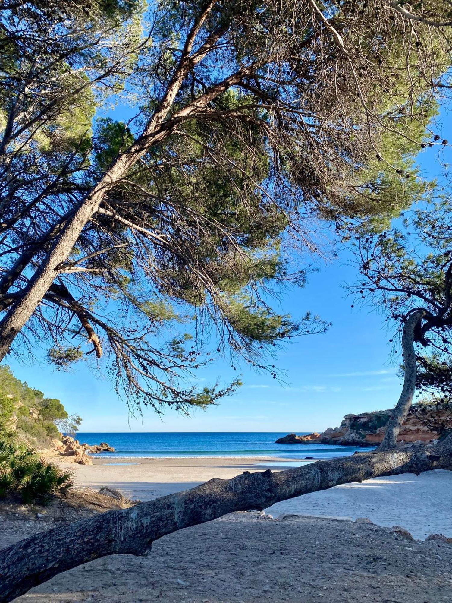 El Barco Bed and Breakfast L'Ametlla de Mar Εξωτερικό φωτογραφία